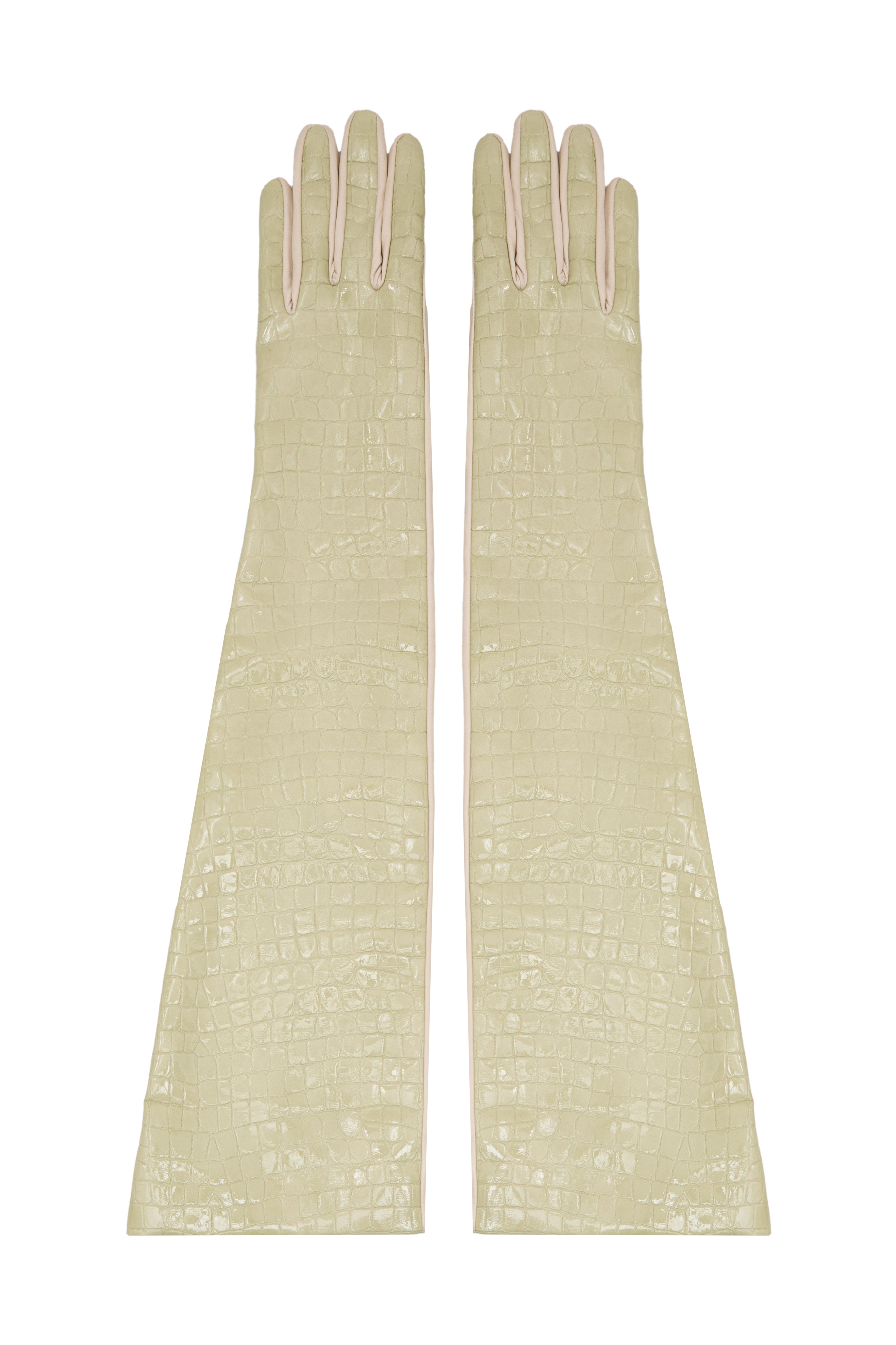 CROCO OLIVE GLOVES by Jamemme - long olive faux leather croco print gloves, front view, SS26