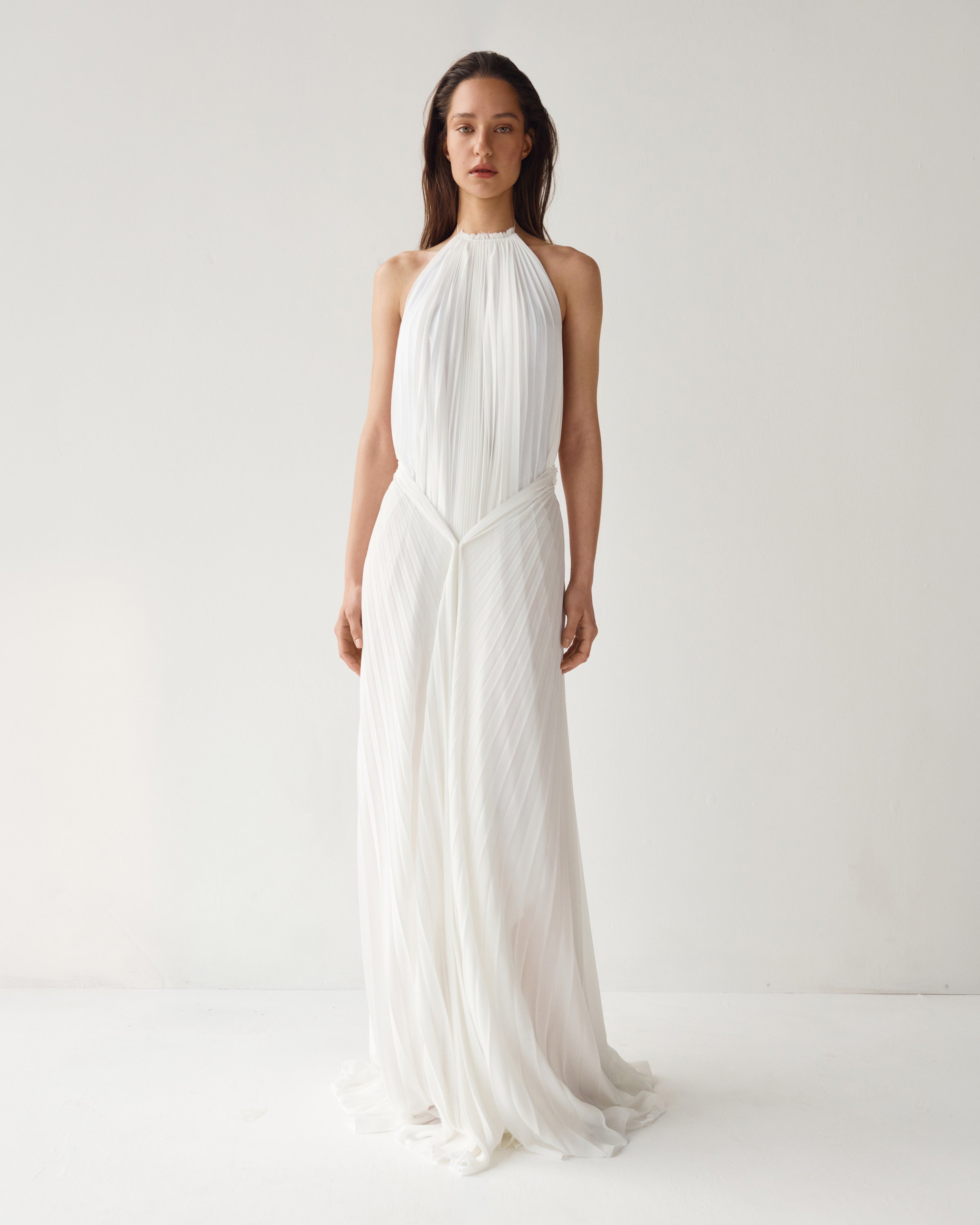 Amelia Pleated Dress